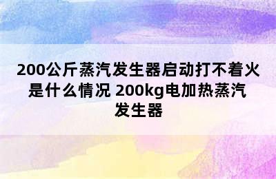 200公斤蒸汽发生器启动打不着火是什么情况 200kg电加热蒸汽发生器